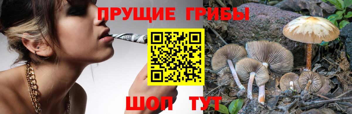 Псилоцибиновые грибы Magic Shrooms  купить  цена  Галлюциногенные грибы Cubensis  Хасавюрт  Вход с VPN 